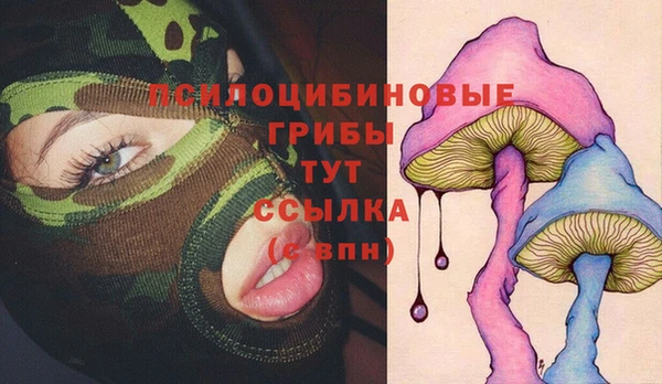 стаф Михайловка