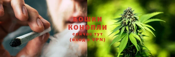 ПСИЛОЦИБИНОВЫЕ ГРИБЫ Михайловск