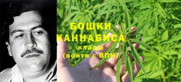 2c-b Михайлов