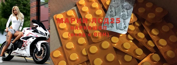 ПСИЛОЦИБИНОВЫЕ ГРИБЫ Михайловск