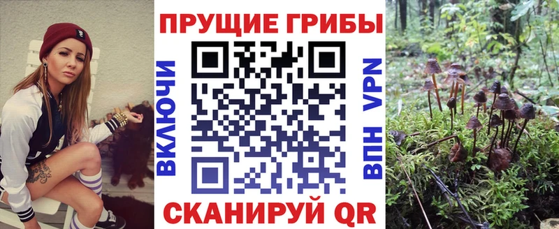 дарнет шоп  это формула  Псилоцибиновые грибы GOLDEN TEACHER  Хвалынск 